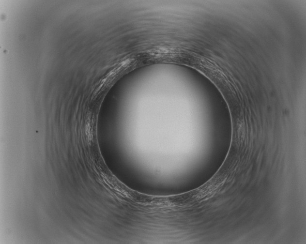 X0000087681250200705181721