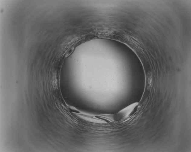 X0000087681252200705181721