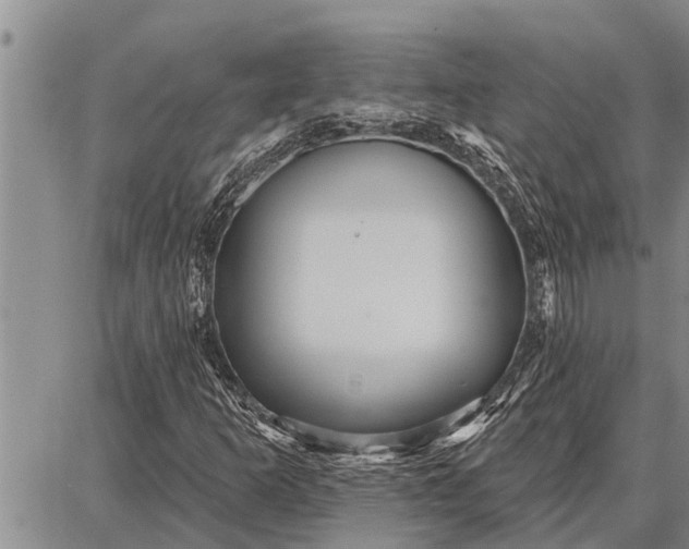 X0000087681253200705181721