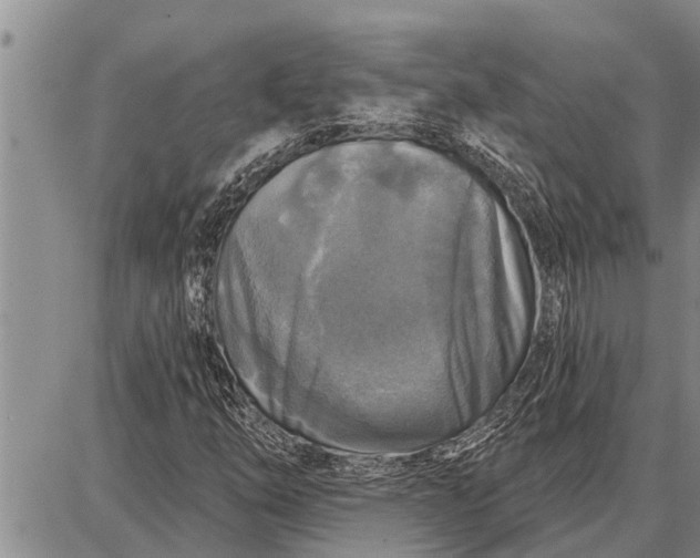 X0000087681254200705181721