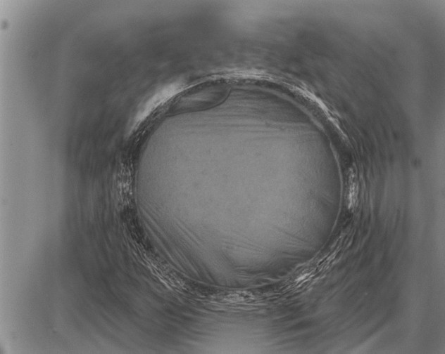 X0000087681255200705181721