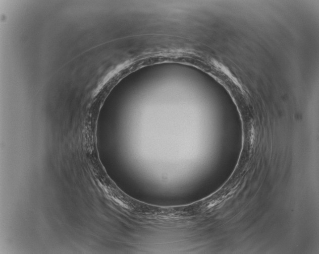 X0000087681256200705181721