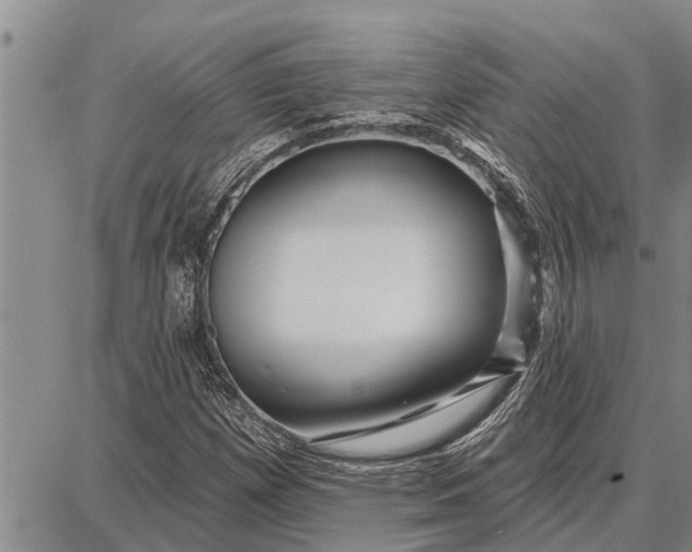 X0000087681257200705181721