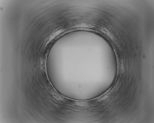 X0000087681258200705181721