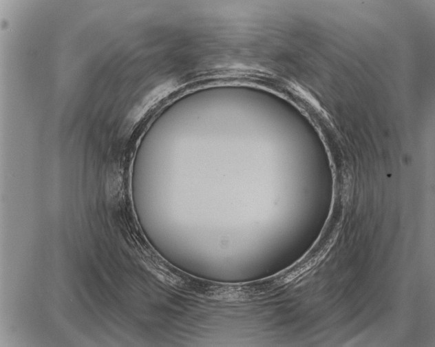 X0000087681259200705181721