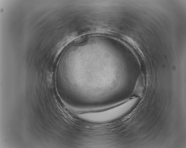 X0000087681260200705181721