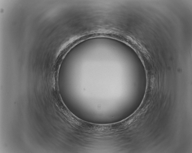 X0000087681262200705181721