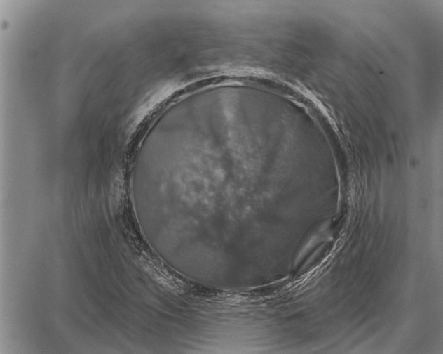 X0000087681263200705181721