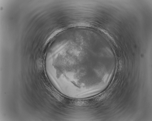 X0000087681266200705181721