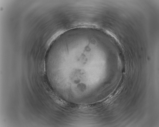 X0000087681267200705181721