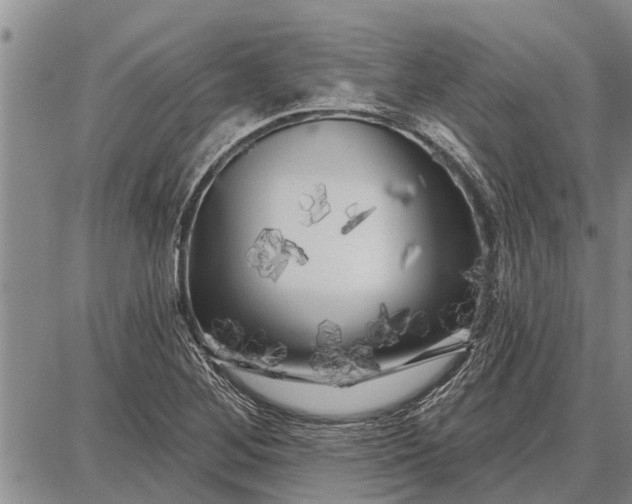 X0000087681268200705181721