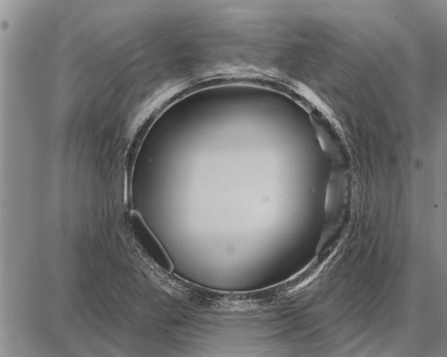 X0000087681269200705181721