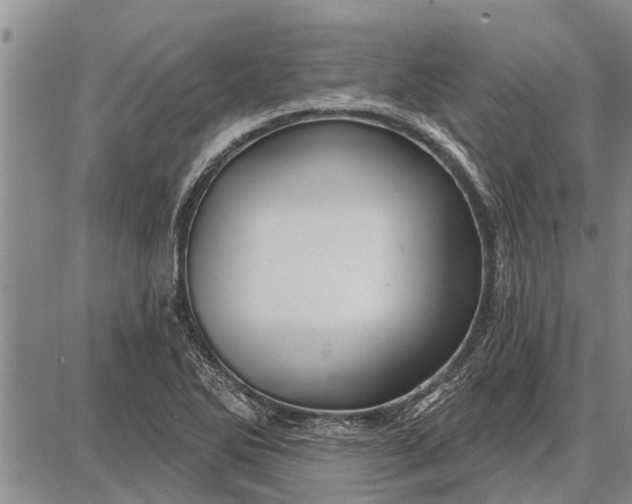 X0000087681270200705181721