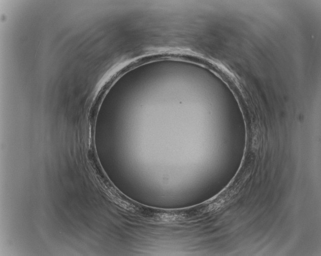 X0000087681271200705181720