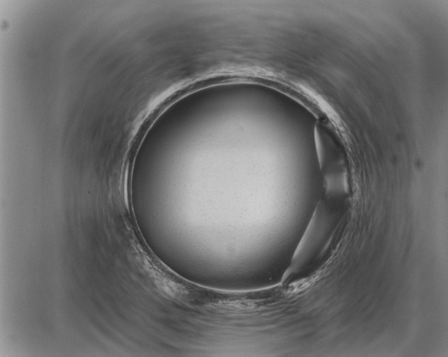 X0000087681272200705181720