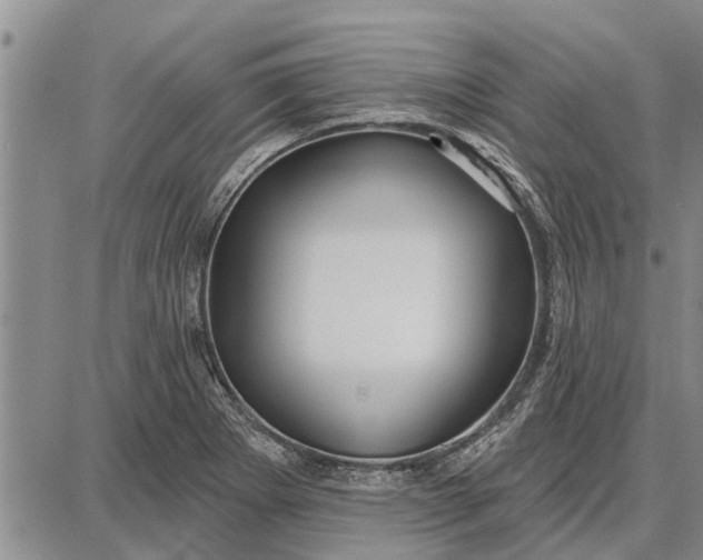 X0000087681273200705181720