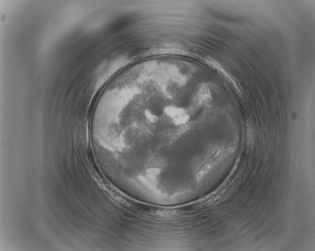 X0000087681274200705181720