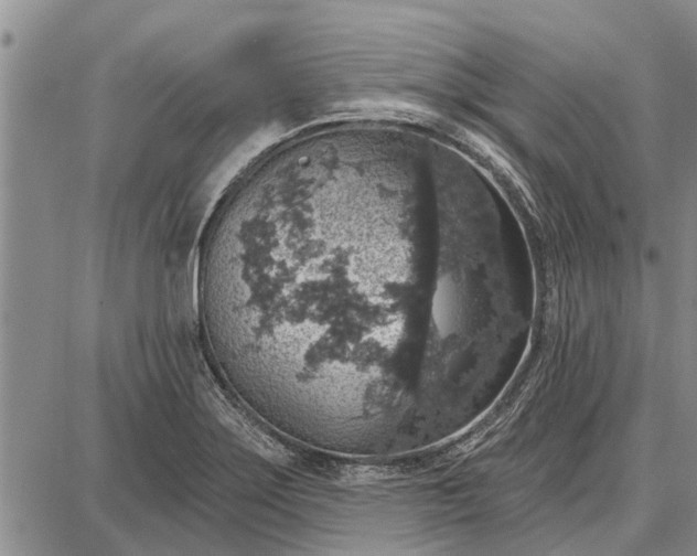 X0000087681275200705181720