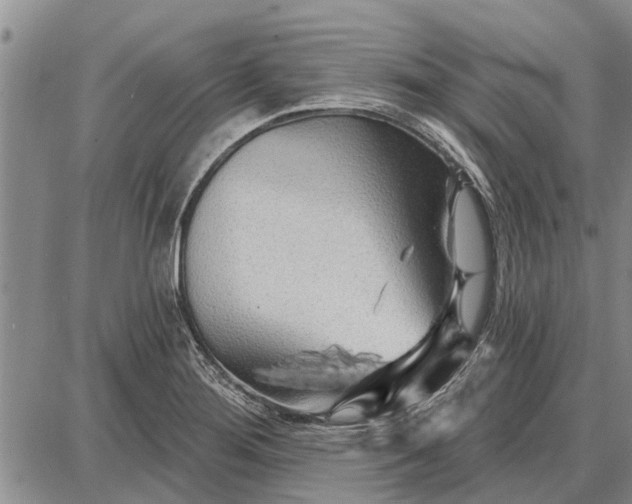 X0000087681276200705181720