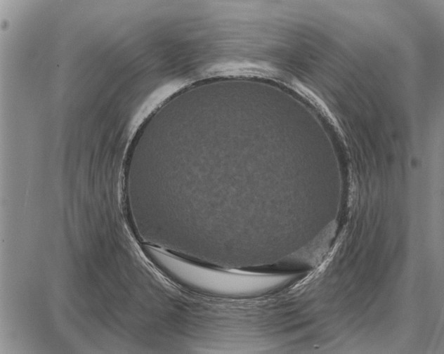 X0000087681277200705181720