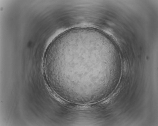 X0000087681278200705181720