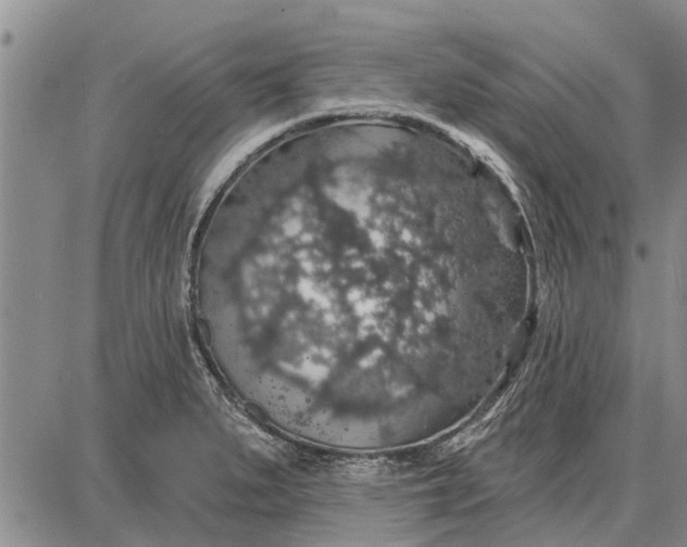 X0000087681279200705181720