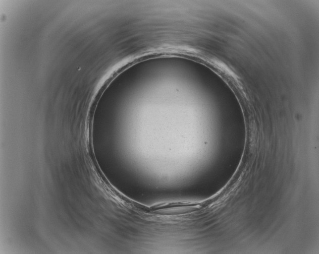 X0000087681280200705181720