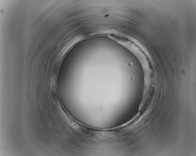 X0000087681281200705181720