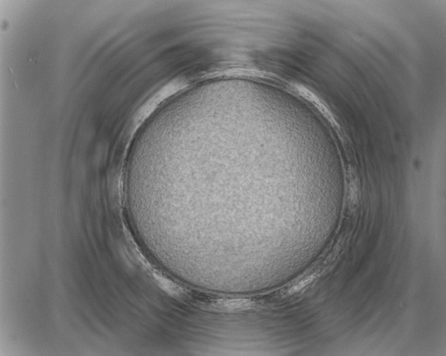 X0000087681282200705181720