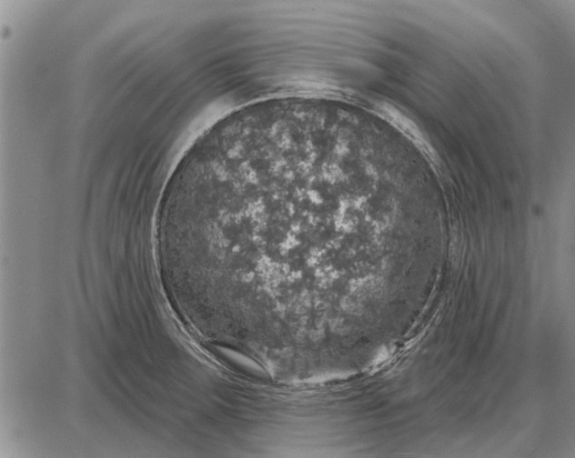 X0000087681283200705181720