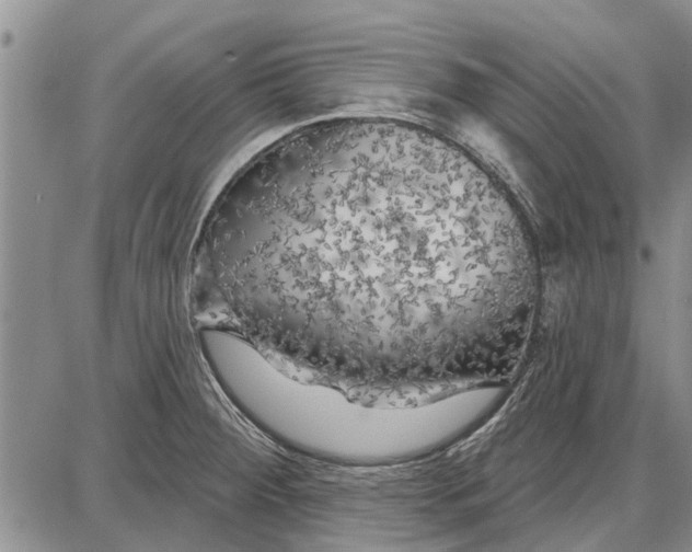 X0000087681284200705181720