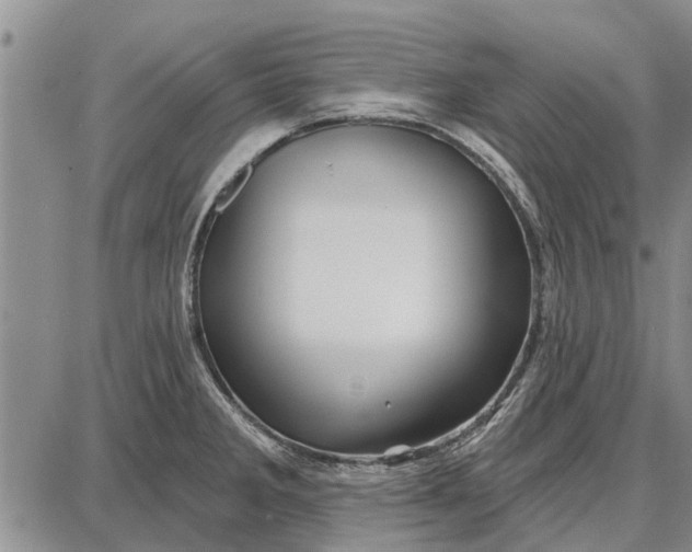 X0000087681285200705181720