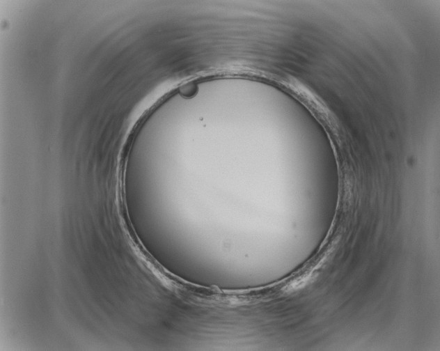 X0000087681286200705181720