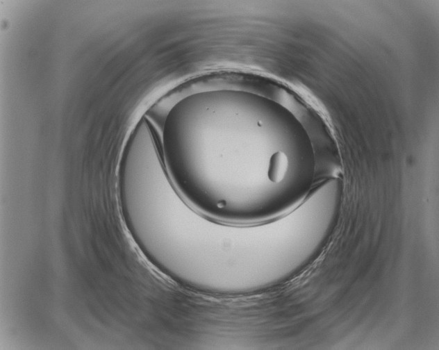 X0000087681287200705181720