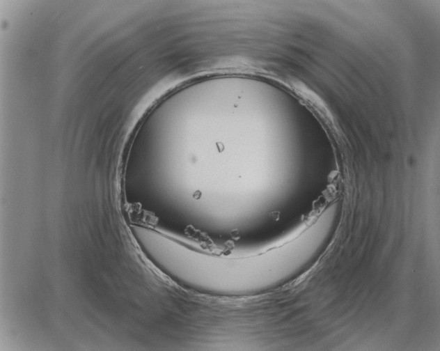 X0000087681288200705181720