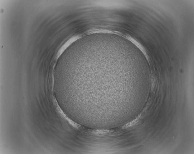 X0000087681290200705181720