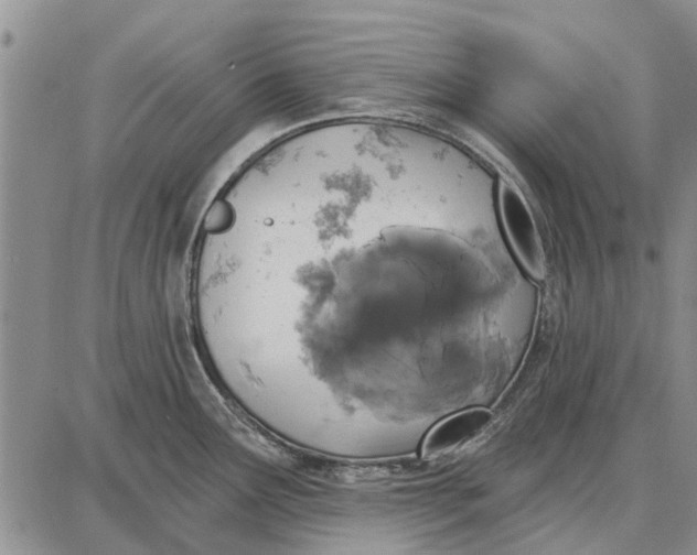 X0000087681291200705181720