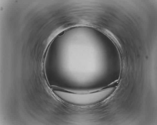 X0000087681292200705181720