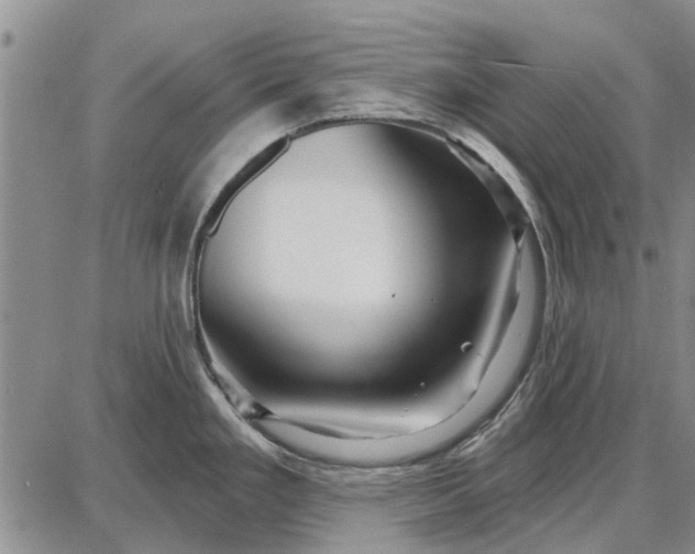 X0000087681293200705181720