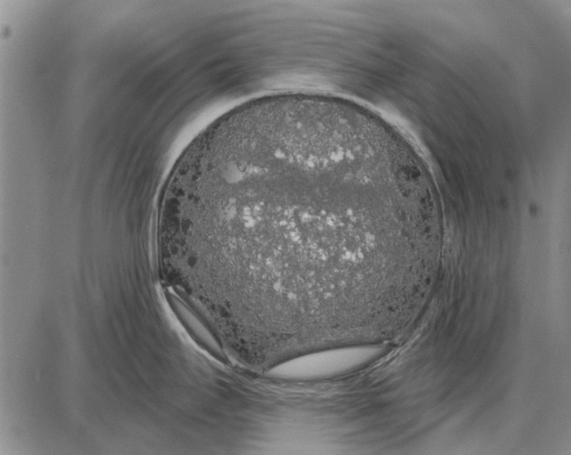 X0000087681295200705181720