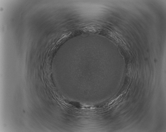 X0000087681297200705181719