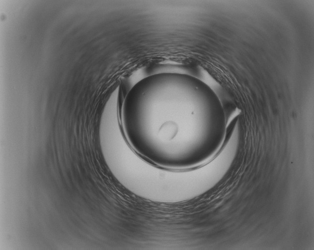 X0000087681298200705181719