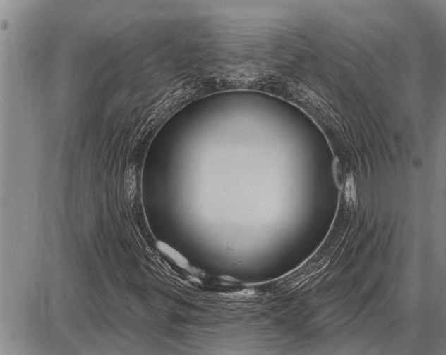 X0000087681299200705181719