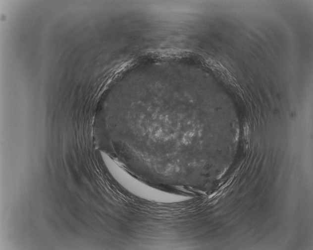 X0000087681300200705181719