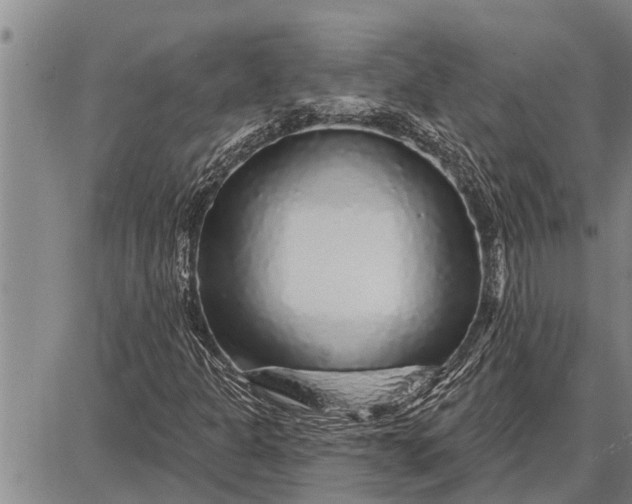 X0000087681301200705181719