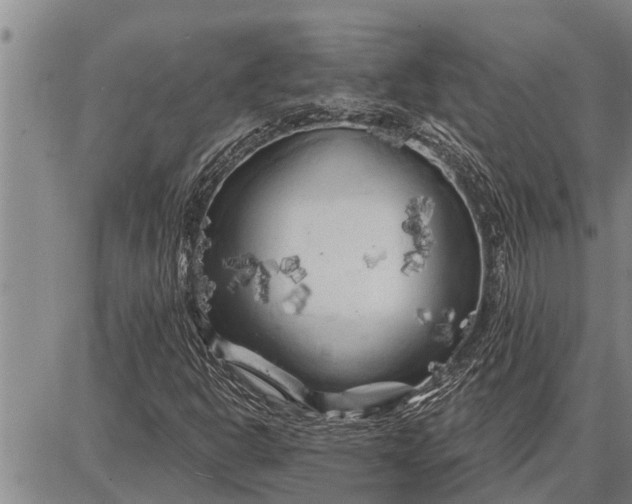 X0000087681302200705181719