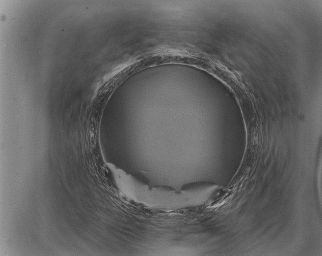 X0000087681303200705181719