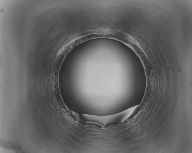 X0000087681304200705181719