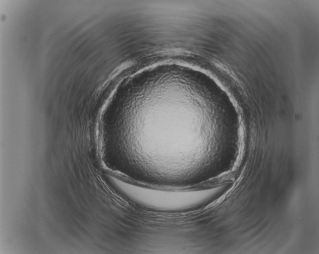 X0000087681305200705181719