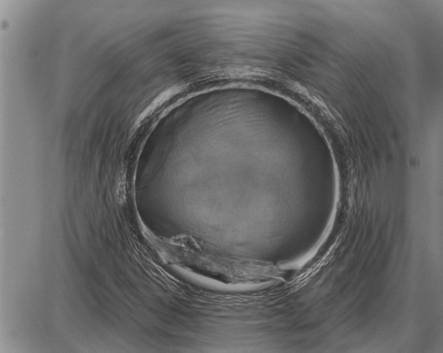 X0000087681306200705181719